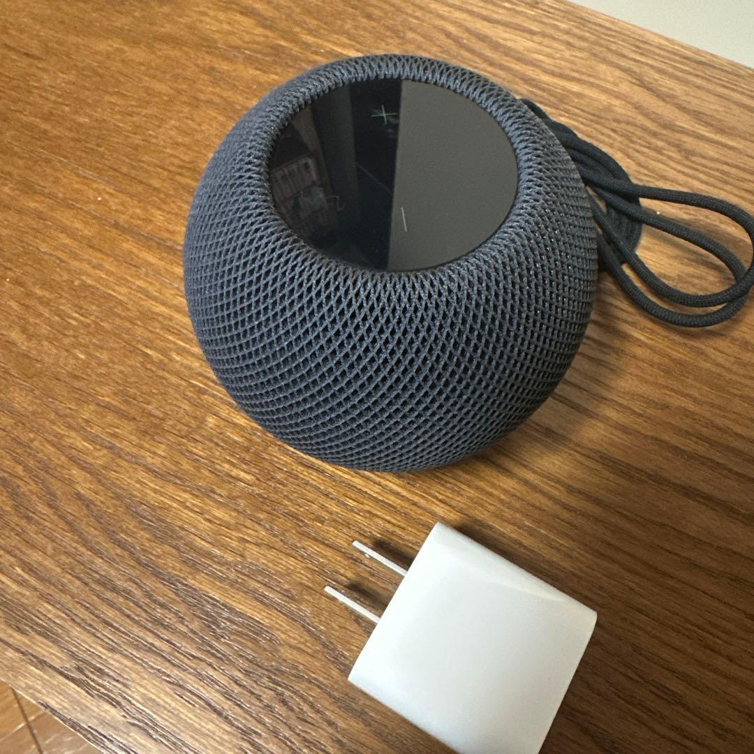 Apple Pod mini 動作品 A2374 スペースグレー