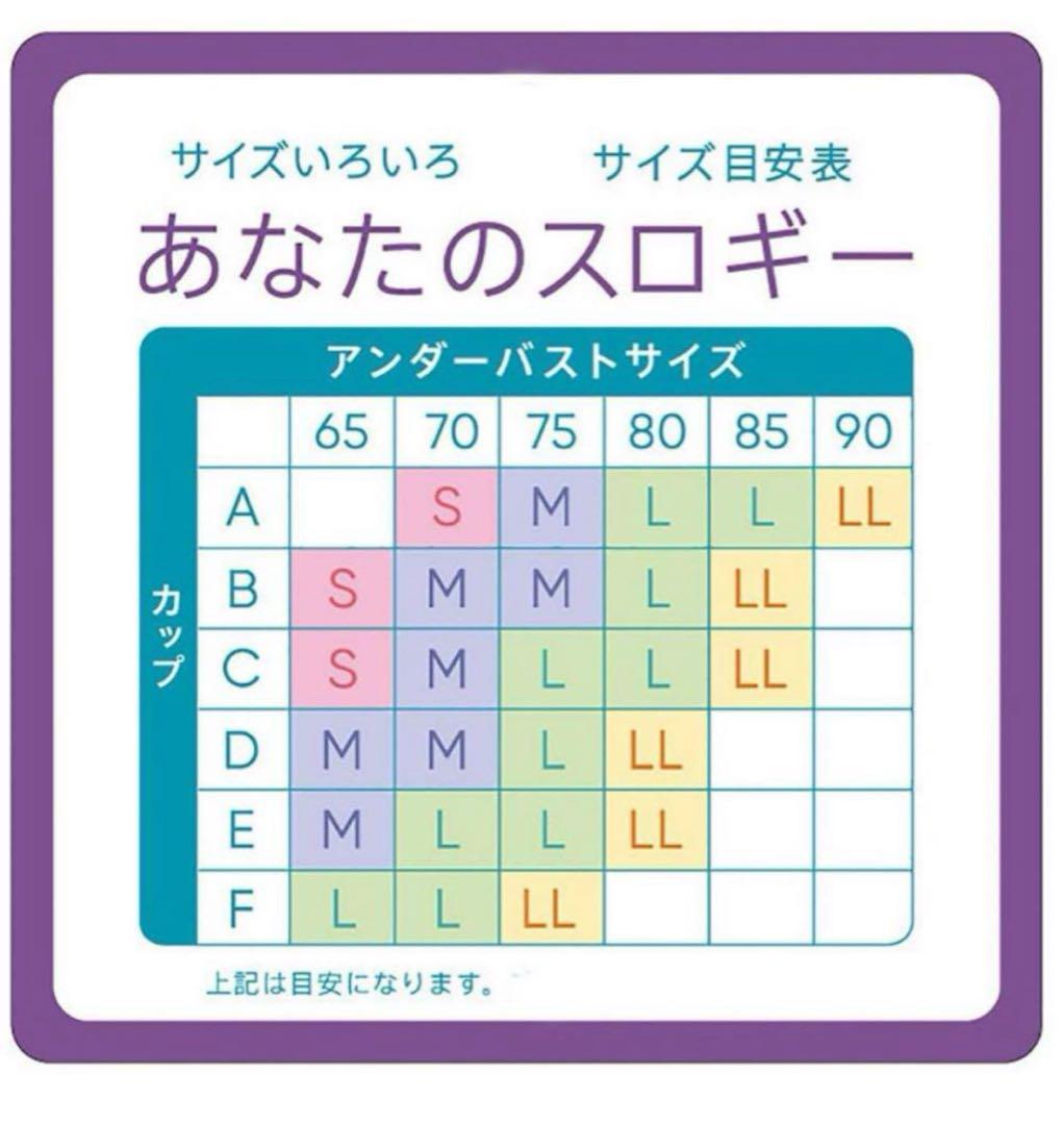 トリンプ スロギー ゼロフィール ピーナッツバター＆ブラック LLサイズ2点