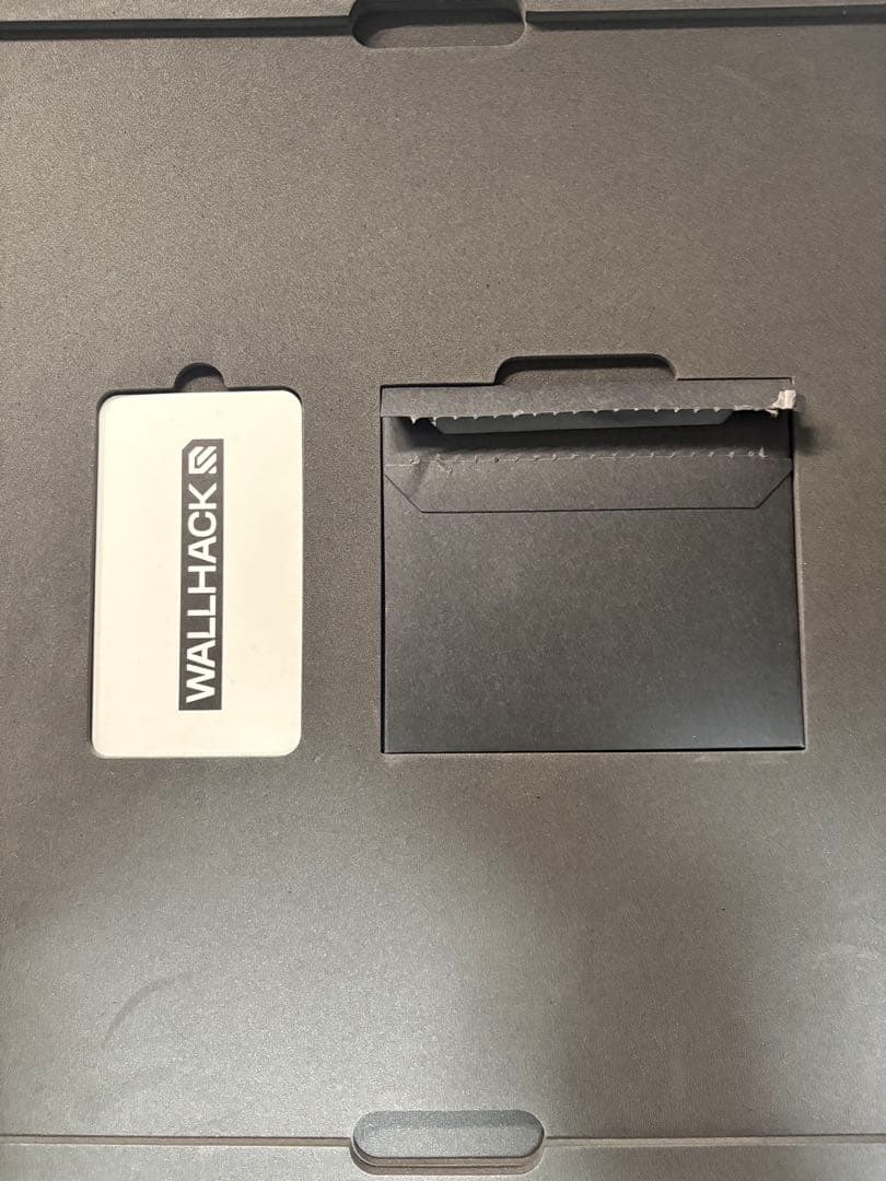 初音ミク WALLHACK SP-004