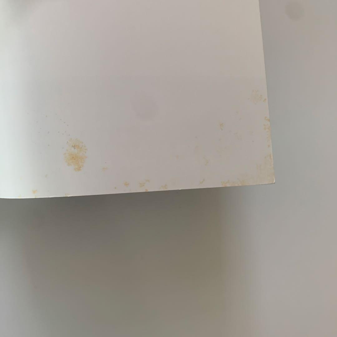 フィアット　「パンダの本」