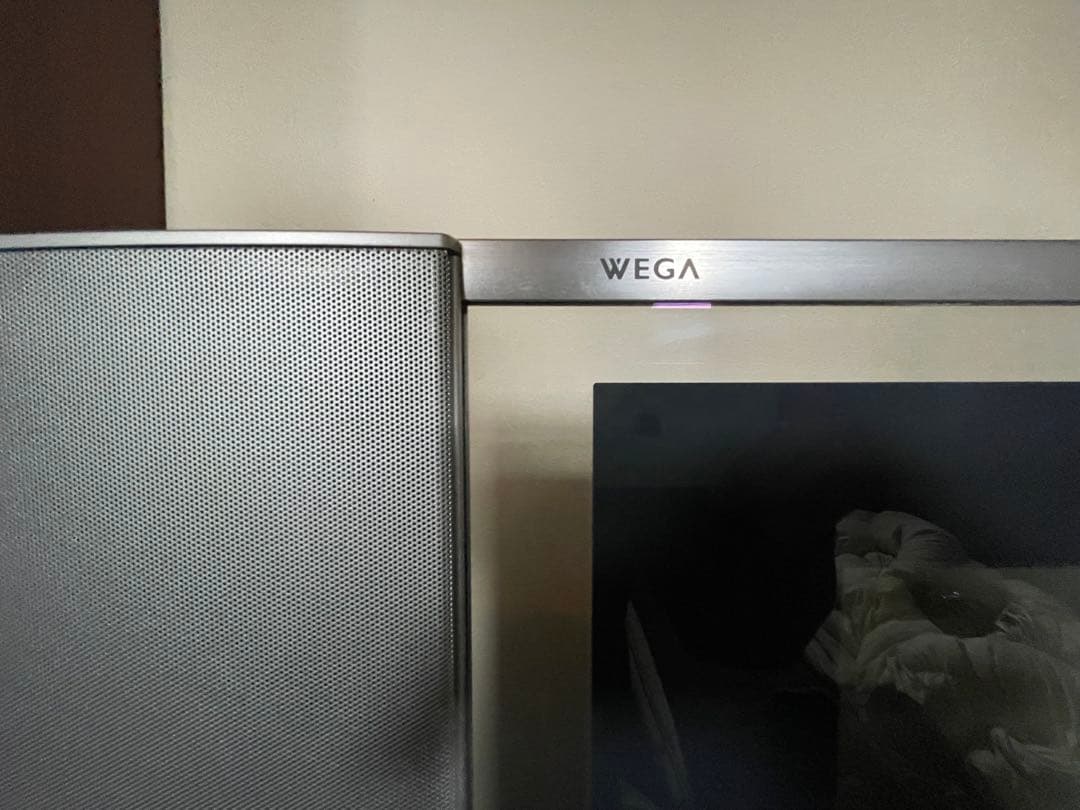 SONY WEGA 50インチ フラットパネルプラズマテレビ