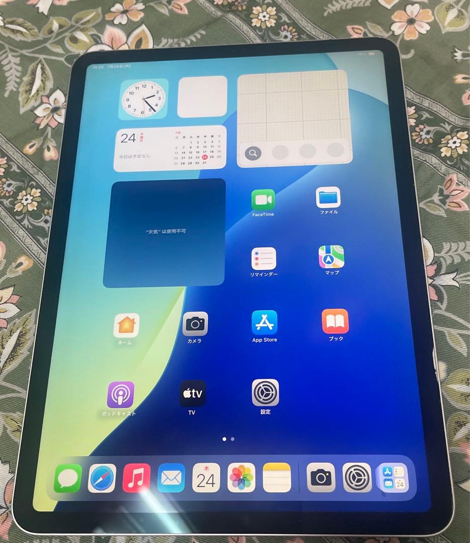 iPad Pro 11インチ 第一世代 64GB WIFI