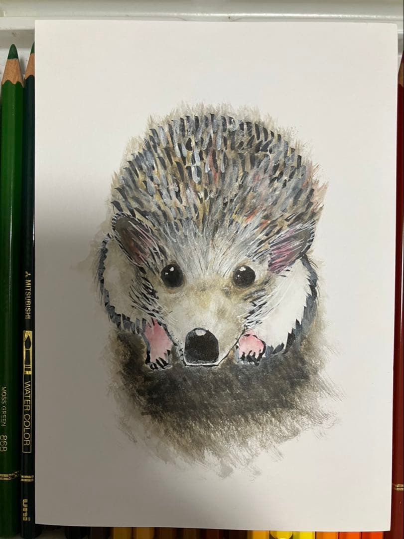 どんぐり　※他の方は購入できません