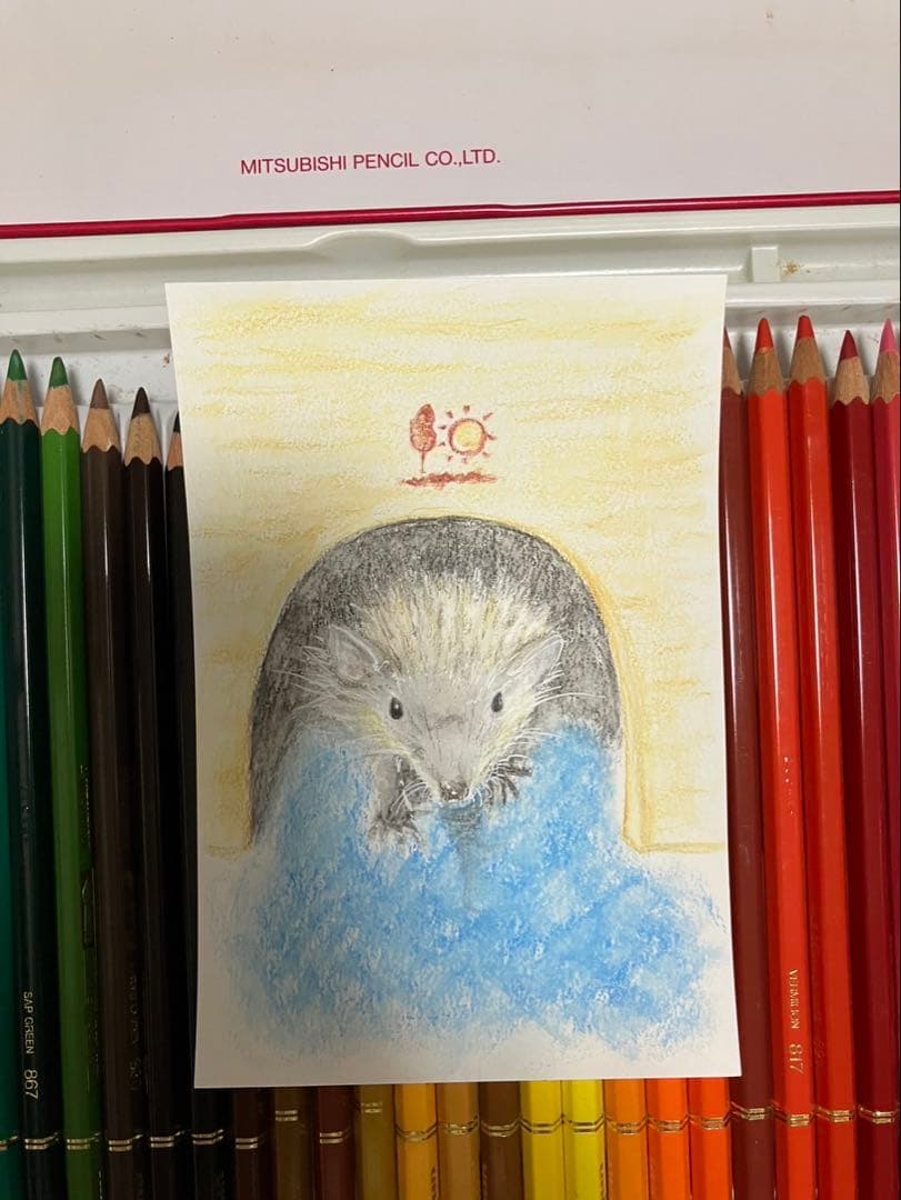 どんぐり　※他の方は購入できません