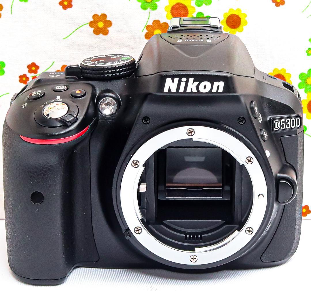 ニコン Nikon D5300☆WIFI機能でスマホに転送♪☆一眼レフ☆自撮り可