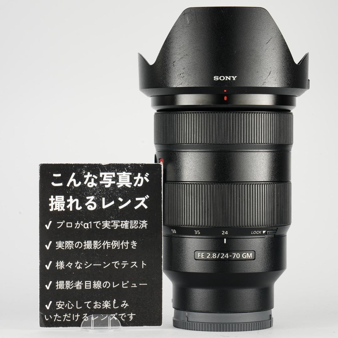 【テスト済安心】SONY SEL2470GM ソニー大三元ズーム 605