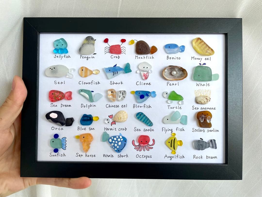 シーグラスアート☆No.370 図鑑　海の生き物　父の日　ギフト　プレゼント