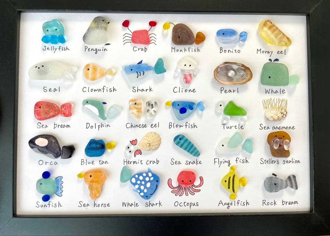 シーグラスアート☆No.370 図鑑　海の生き物　父の日　ギフト　プレゼント