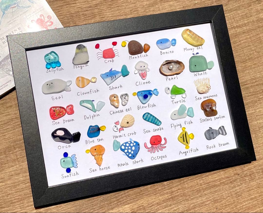 シーグラスアート☆No.370 図鑑　海の生き物　父の日　ギフト　プレゼント