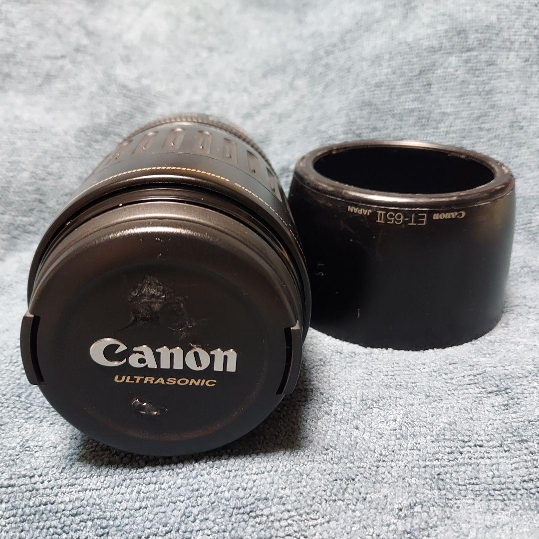 Canon EF100-300mm F4.5-5.6 USM ズームレンズ 望遠