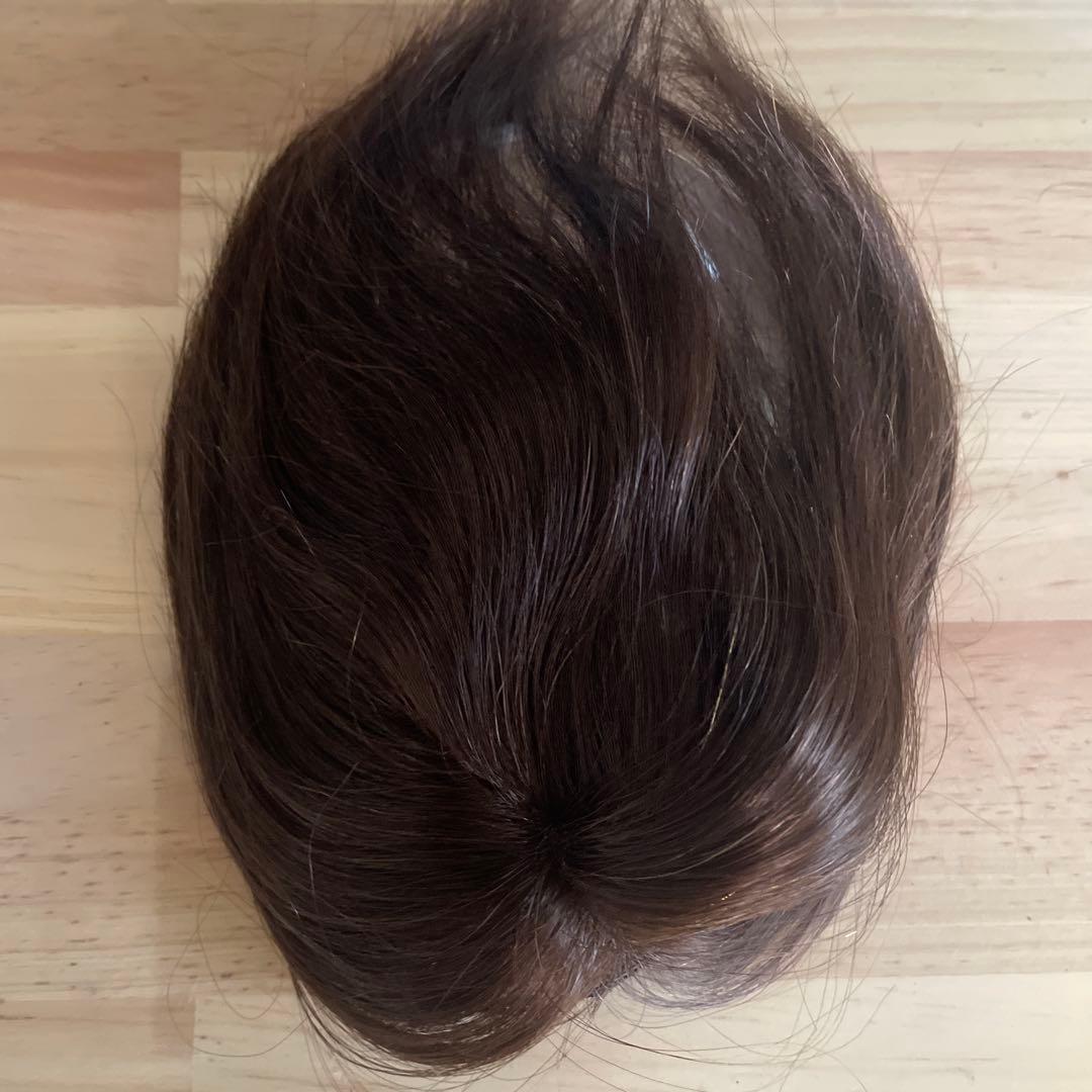 お値下げしました！ アートネイチャーJO エアリーウィッグ人毛100%