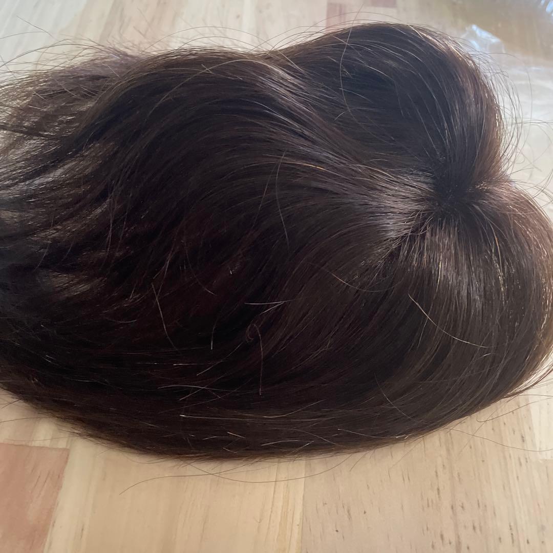 お値下げしました！ アートネイチャーJO エアリーウィッグ人毛100%