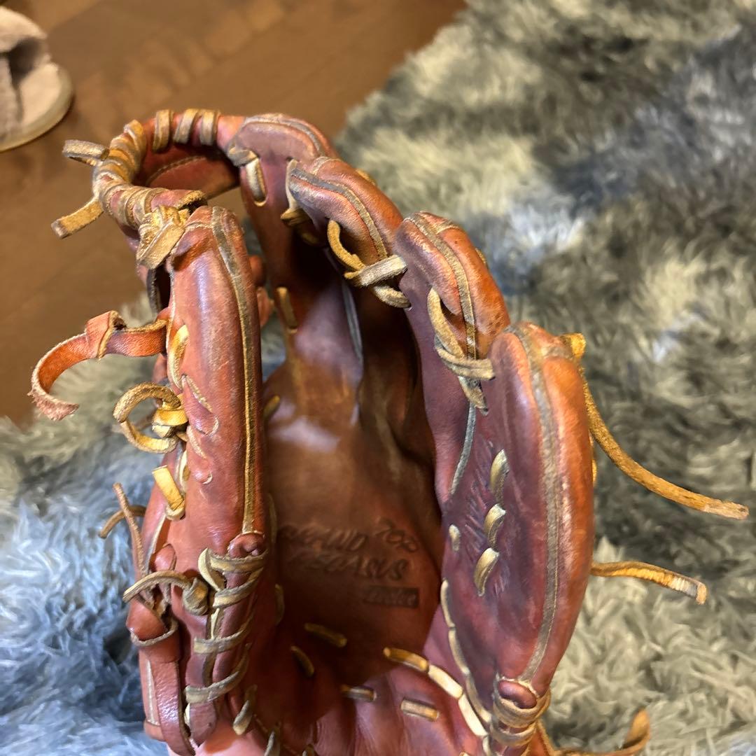 ワールドペガサス