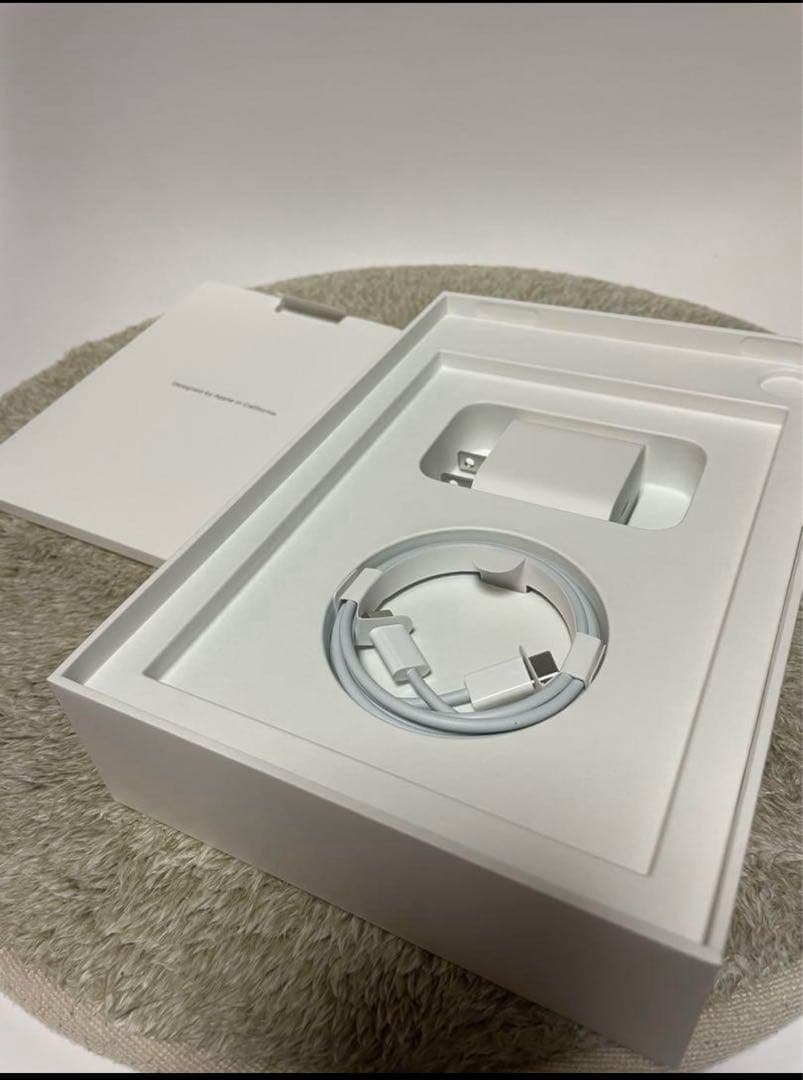 限定早い者勝ち！iPad mini6 256GB cellular