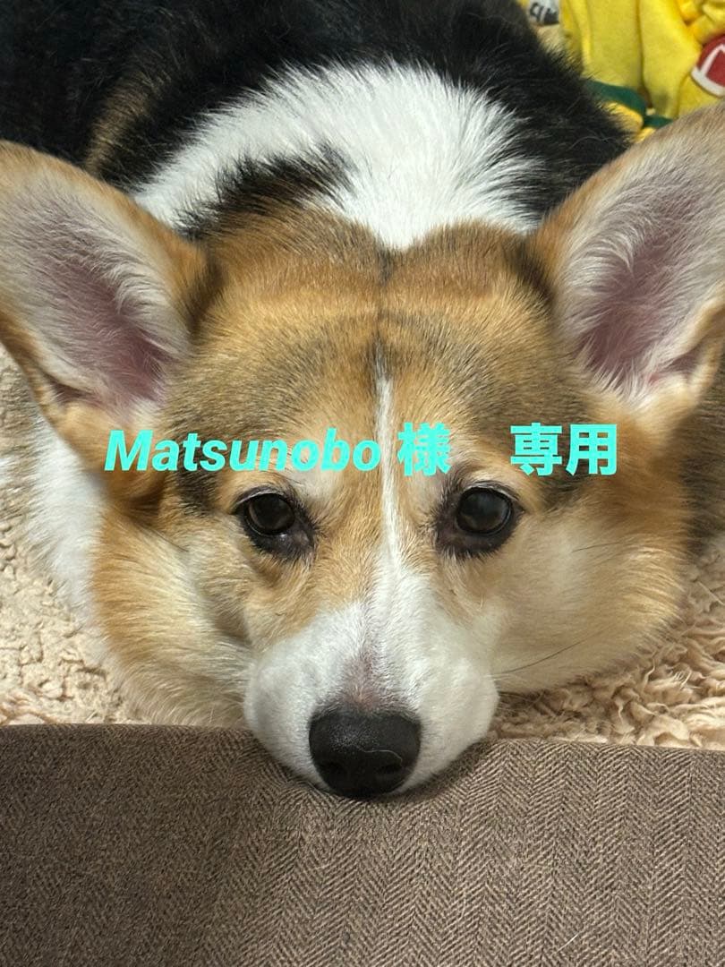 ルイヴィトン ジグソーパズル パズル・スコット 200周年記念