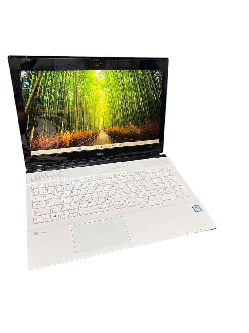 Windowsノート本体 NEC Lavie PC-SN254FPAB