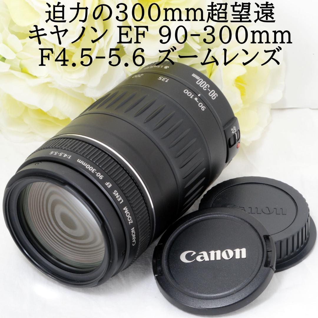 ★超望遠★Canon キャノン EF 90-300mm F4.5-5.6