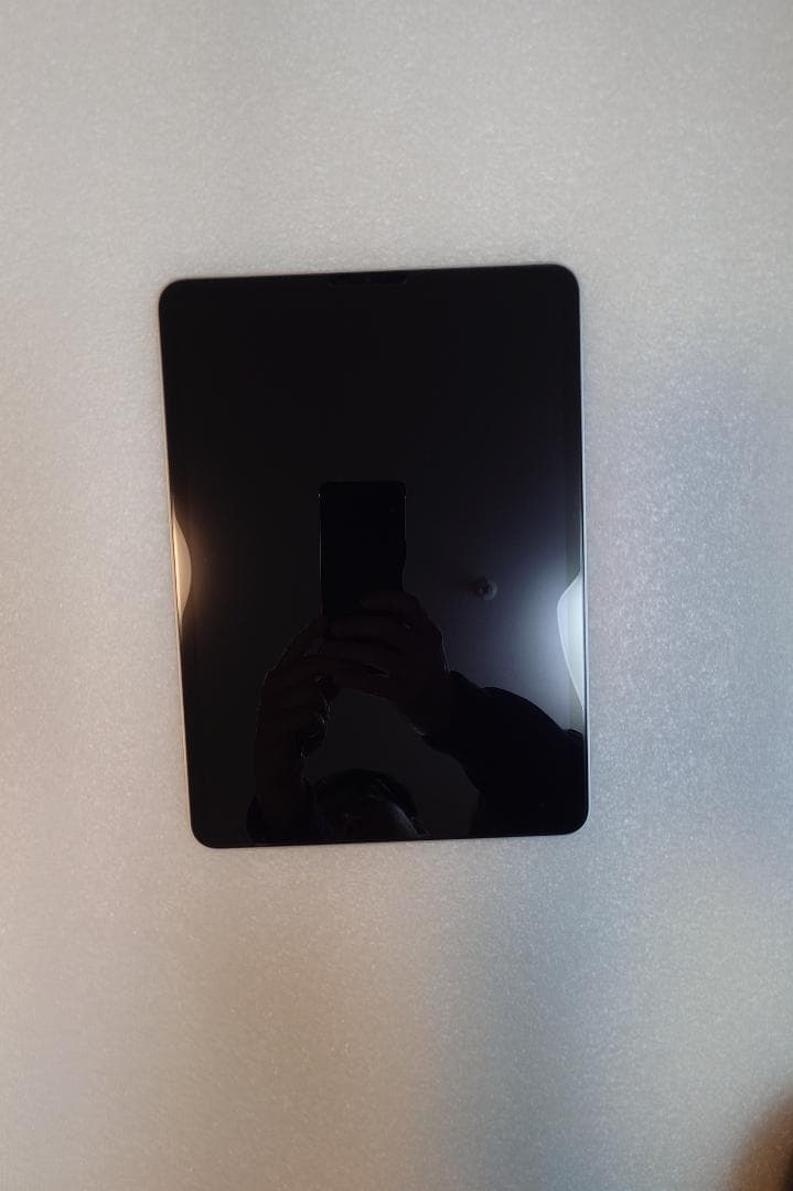 iPad Pro(第3世代) Wi-Fi 256GB Silver