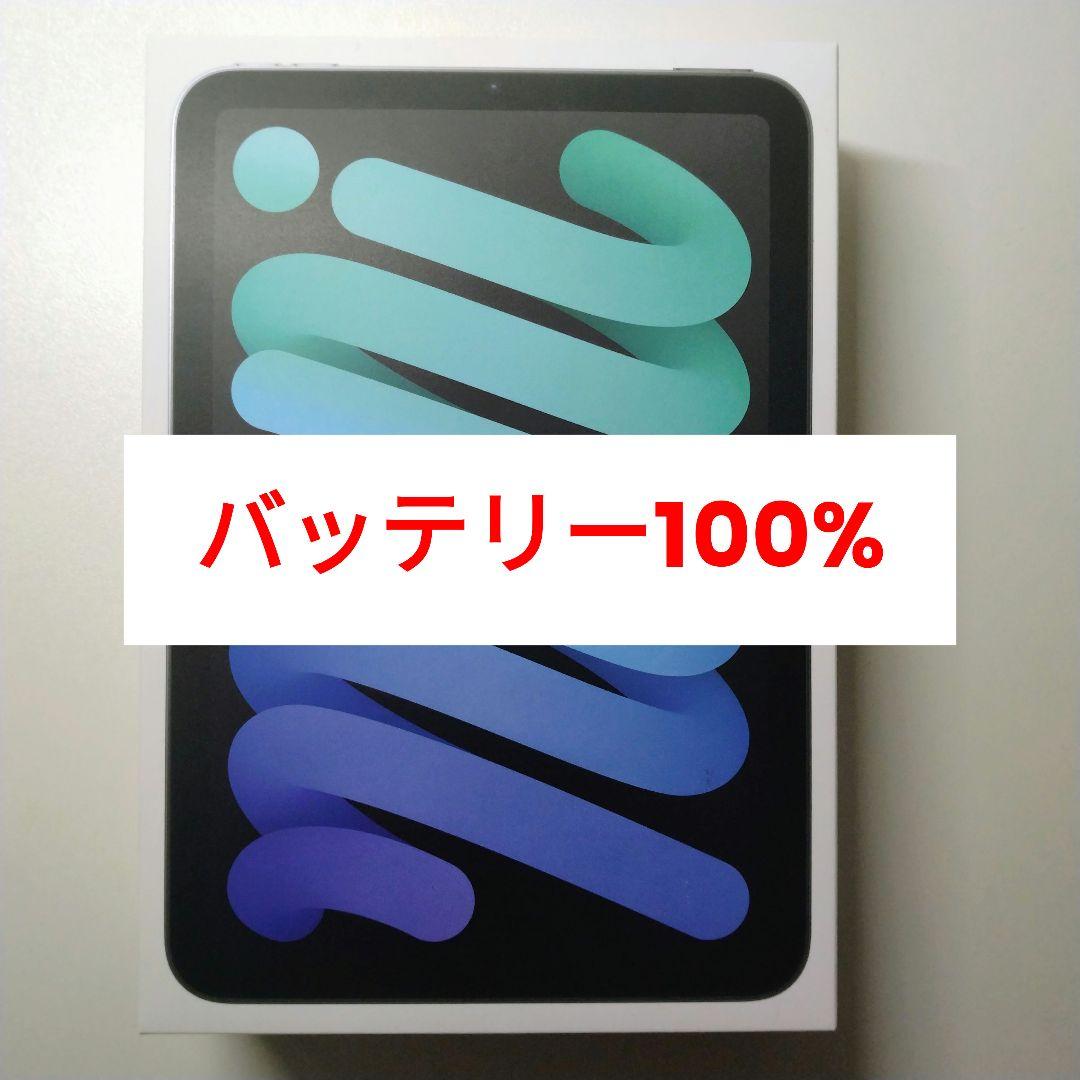 【美品】iPad mini 7 スペースグレイ Wi-Fi 128GB