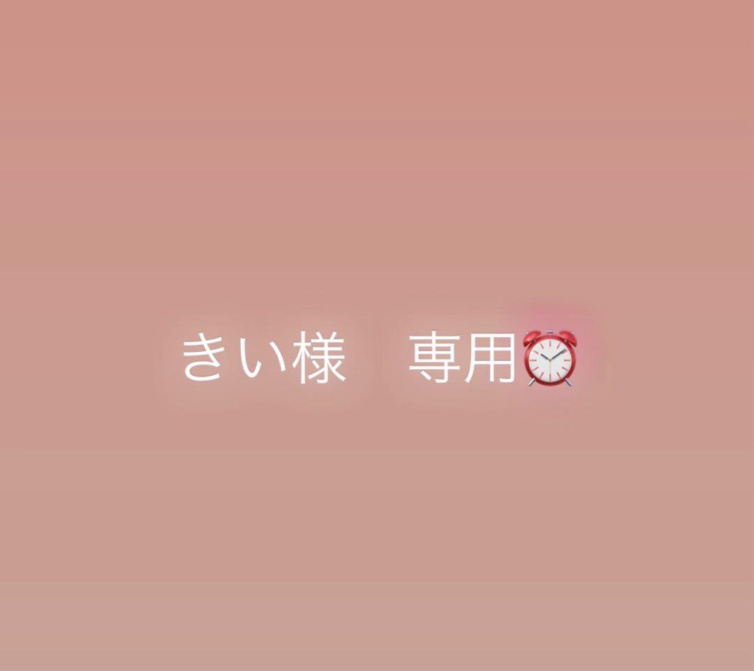 きい　　ソーラーウォッチ メッシュベルト　ete