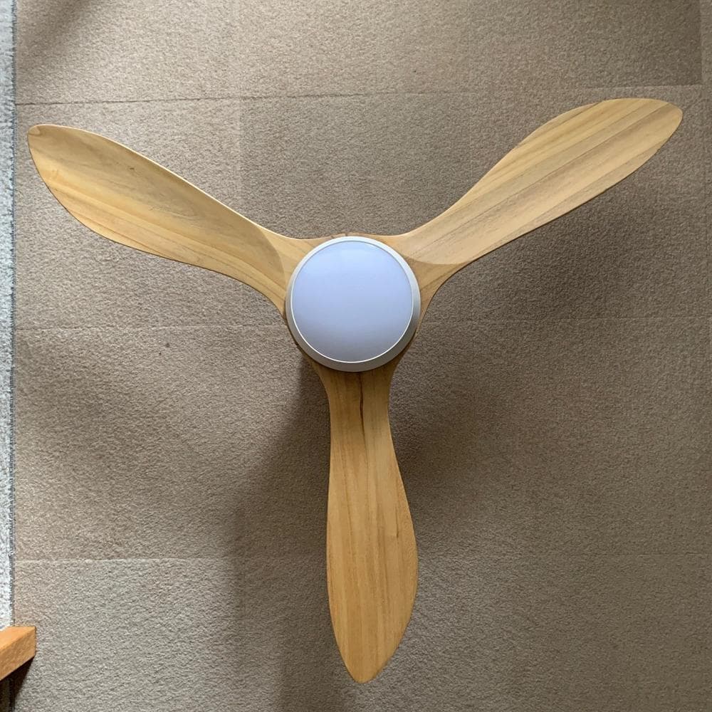 LOWYA シーリングファンライト New Jabalia 2