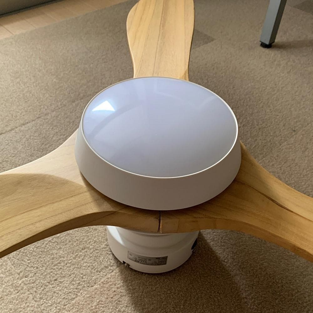 LOWYA シーリングファンライト New Jabalia 2