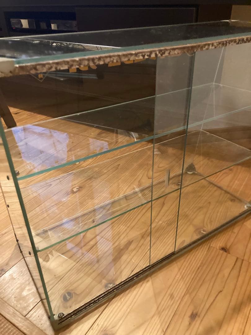 昭和レトロ　ガラスショーケース中棚2段 SANKYO 希少雛壇　背面引戸状態良好