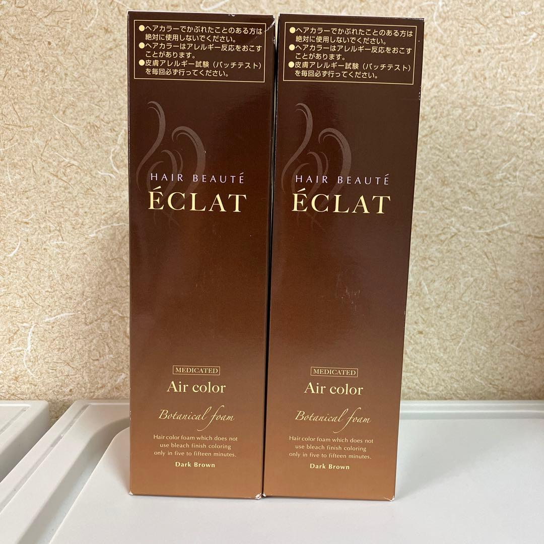 ヘアボーテエクラ　ボタニカル　カラーフォーム　ダークブラウン150g×2本セット