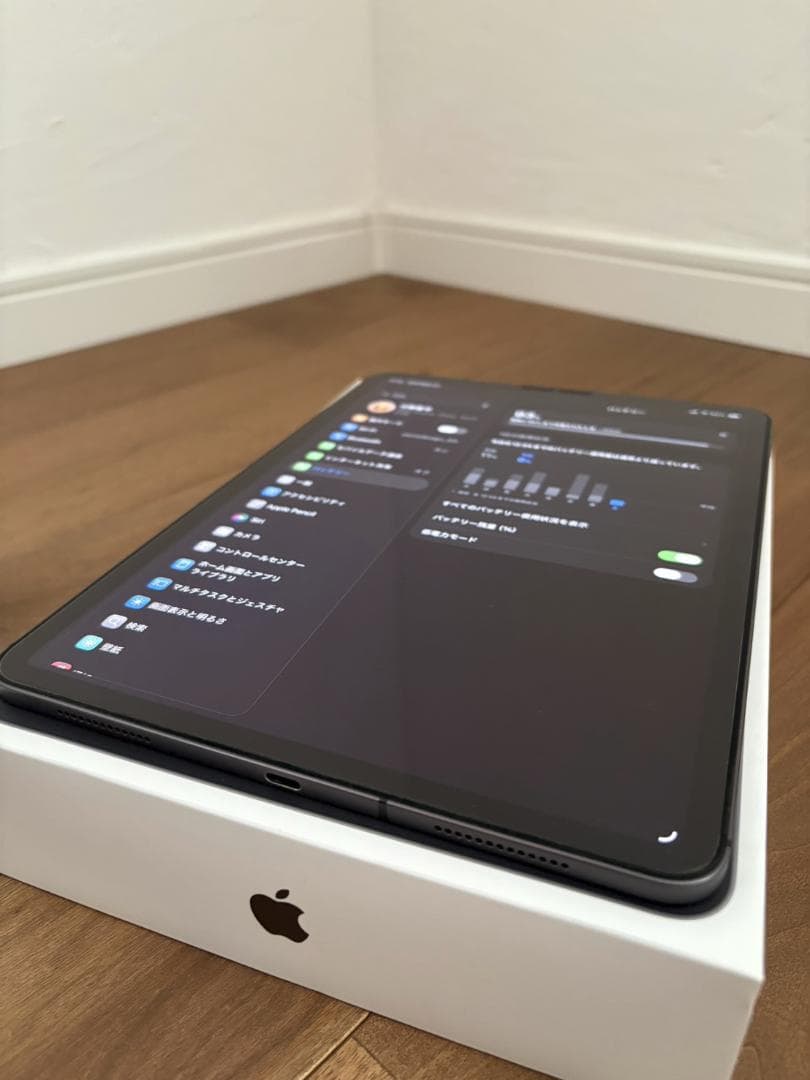 iPad Pro 11 第2世代 256GB Cellular