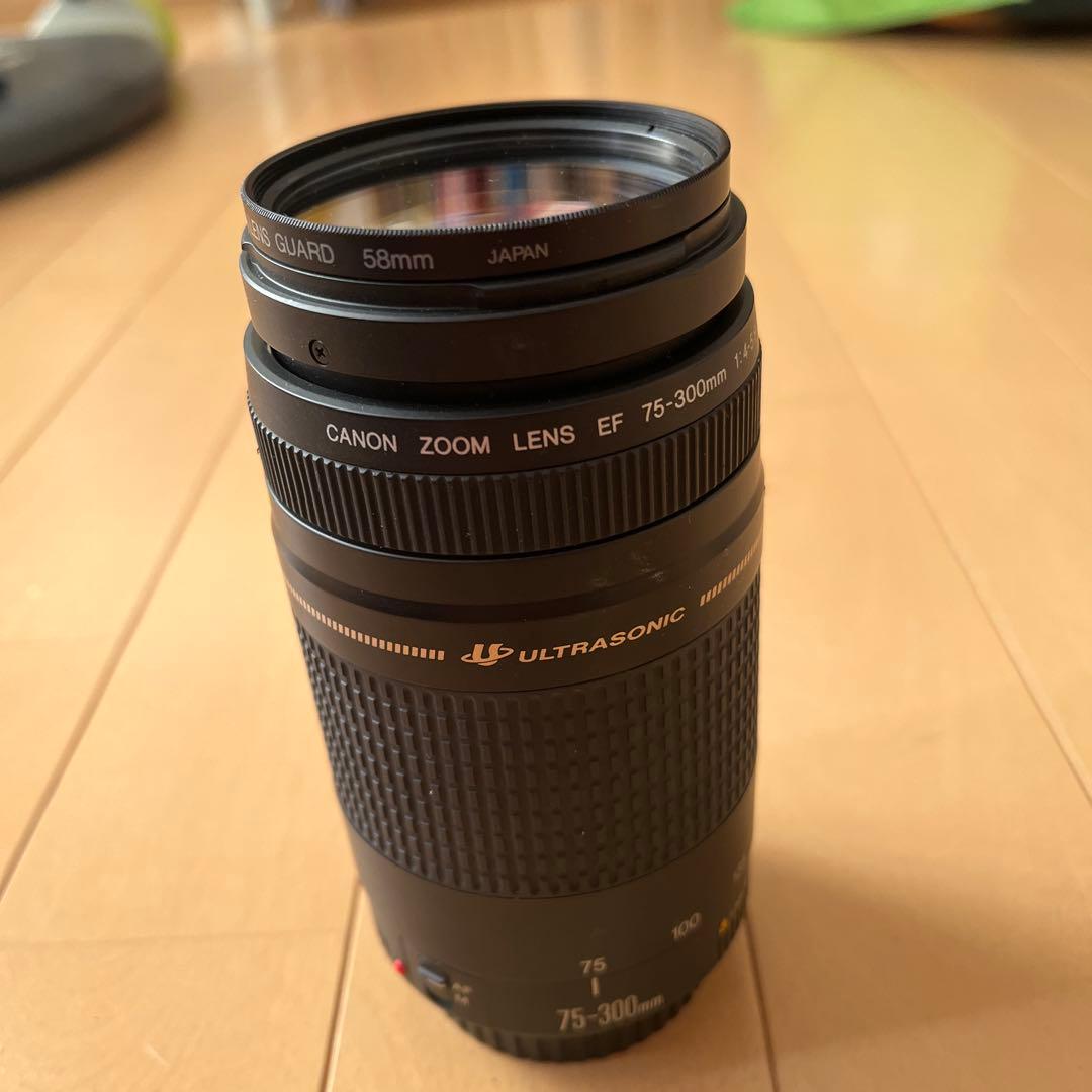 Canon EFレンズ EF75-300mm F4-5.6 III望遠レンズ
