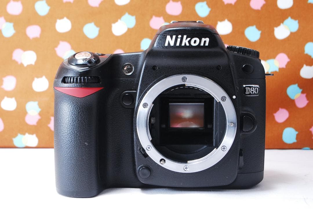 ✨ショット数6395回✨初心者オススメ✨Nikon D80 ダブルレンズセット
