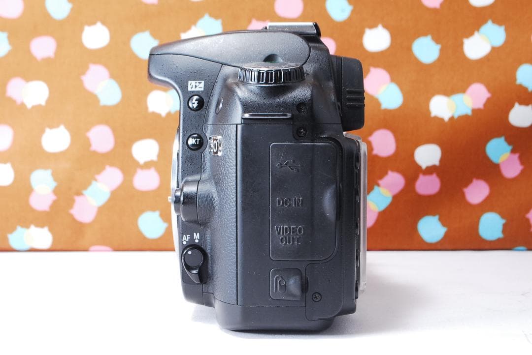 ✨ショット数6395回✨初心者オススメ✨Nikon D80 ダブルレンズセット