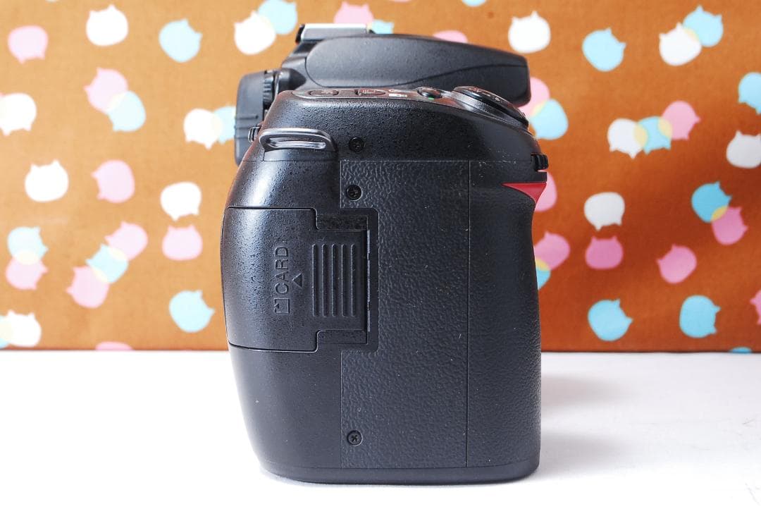 ✨ショット数6395回✨初心者オススメ✨Nikon D80 ダブルレンズセット