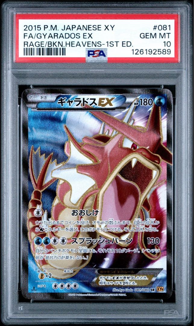 【PSA10】ギャラドスEX SR XY9 破天の怒り 081/080