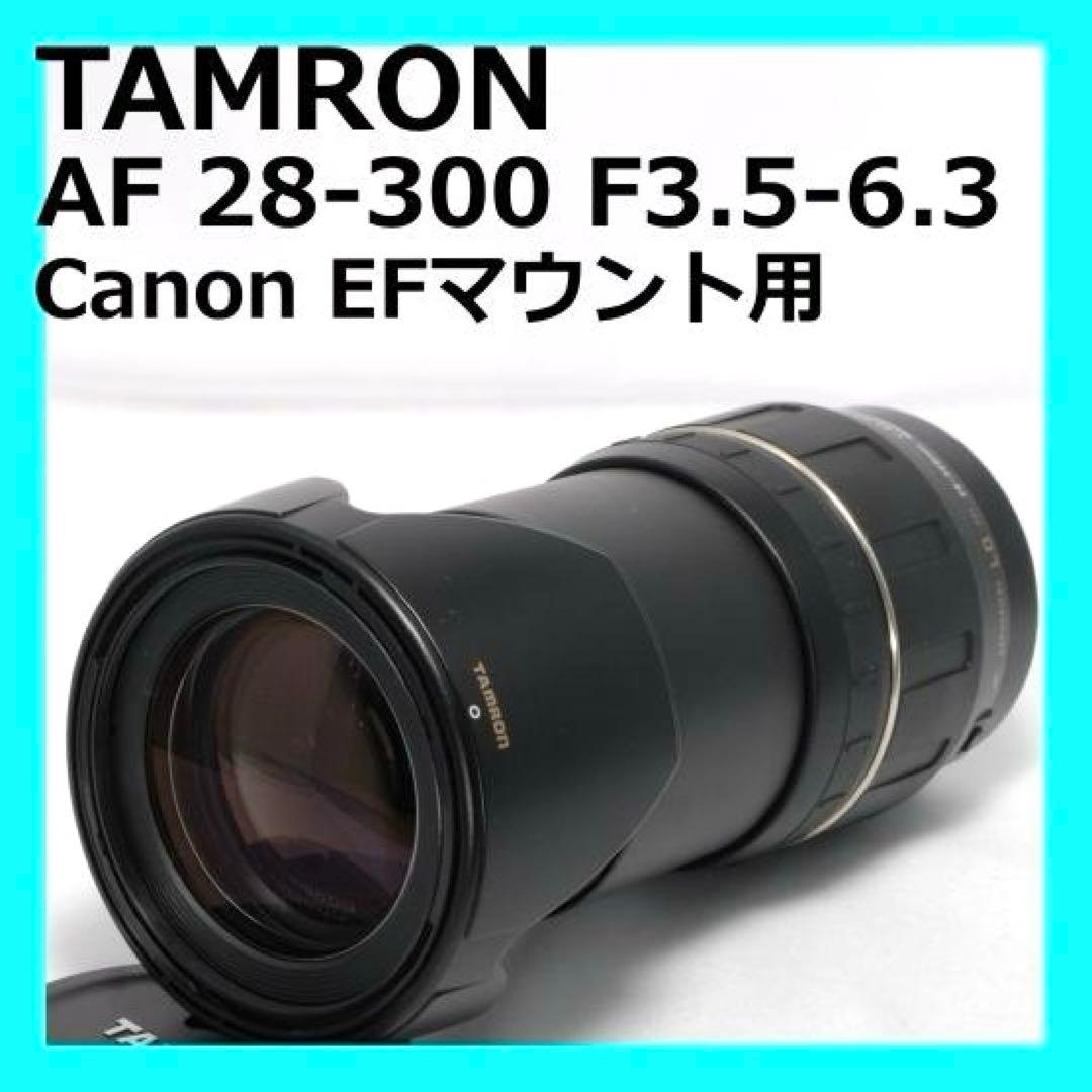 ⭐️広角～望遠まで⭐️TAMRON 28-300mm F3.5-6.3 マクロ