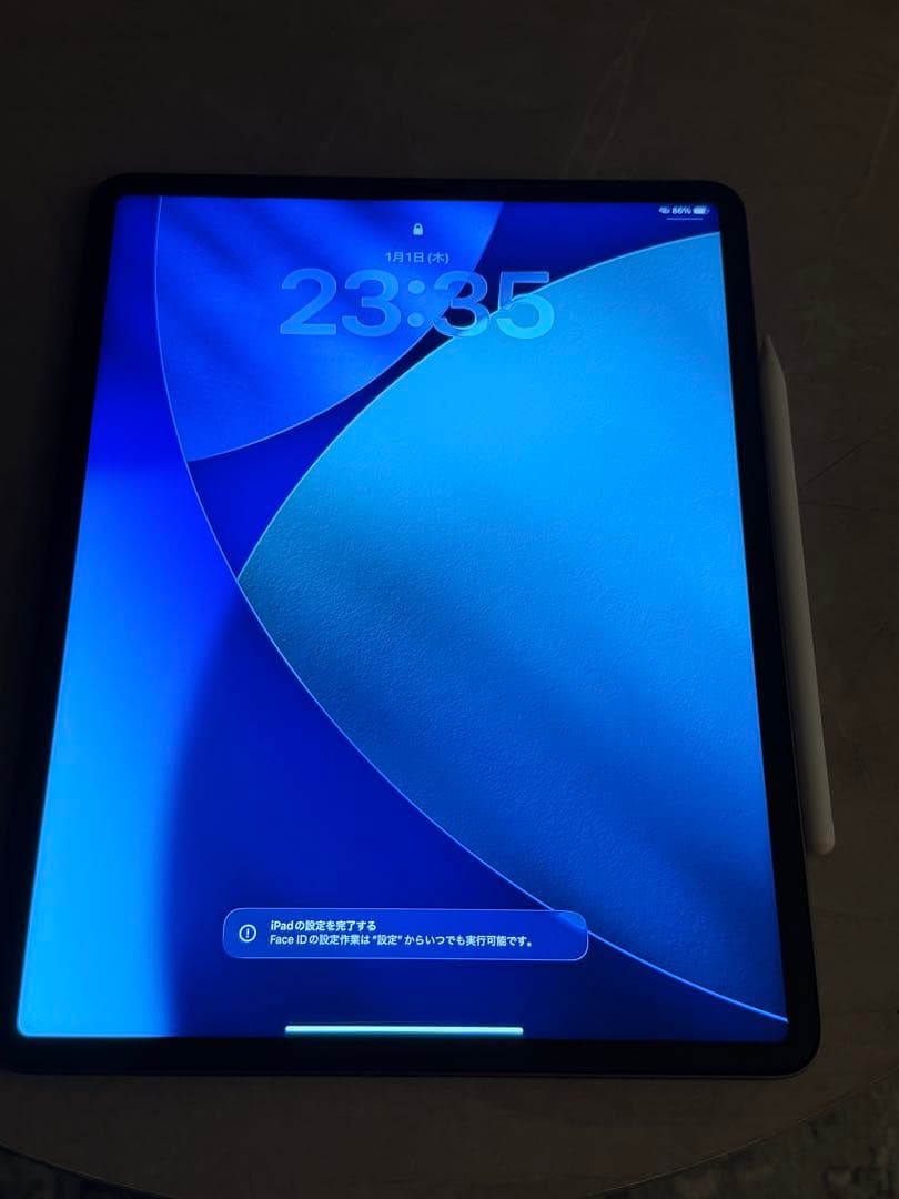 iPad本体 AppleiPadPro 256GB / 100%