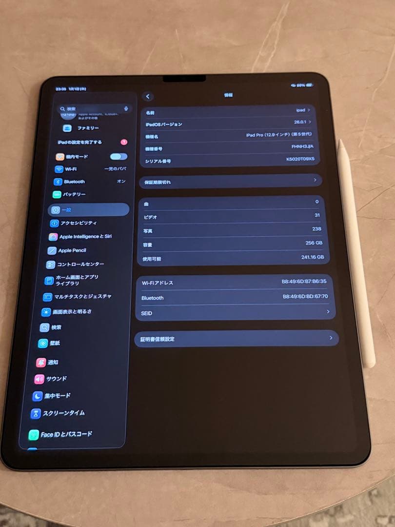iPad本体 AppleiPadPro 256GB / 100%