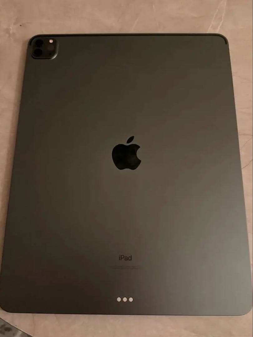 iPad本体 AppleiPadPro 256GB / 100%