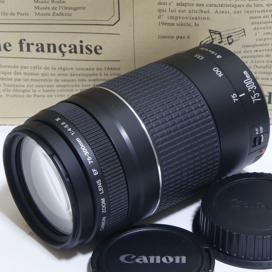 ◇大迫力超望遠!!◇Canon純正 75-300mm III型 超望遠レンズ◇