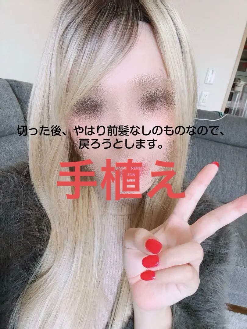 ピンクエイジ　手植え　フルウィッグ　金髪