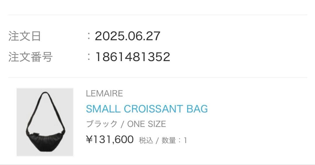 バッグ SMALL CROISSANT BAG