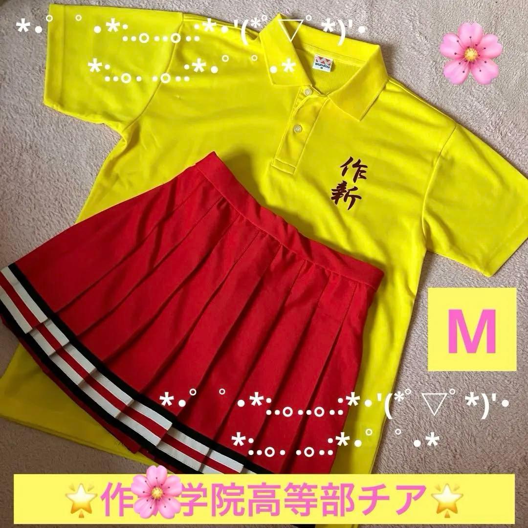 私学チアユニホームM☆彡