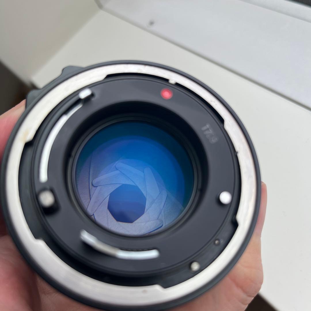 Canon NEW F-1 ＋ New FD 50mm F1.4 フィルム