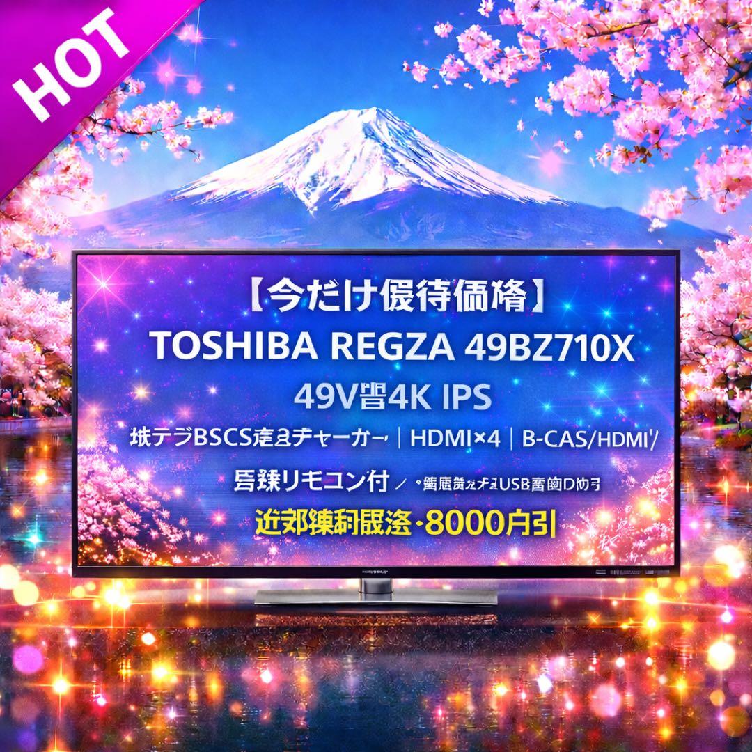 【今だけ優待価格】TOSHIBA REGZA 49V型4K IPS｜地デジ