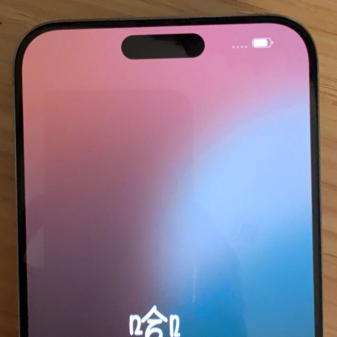 Apple iPhone 15 Pro max 本体　SIMフリー