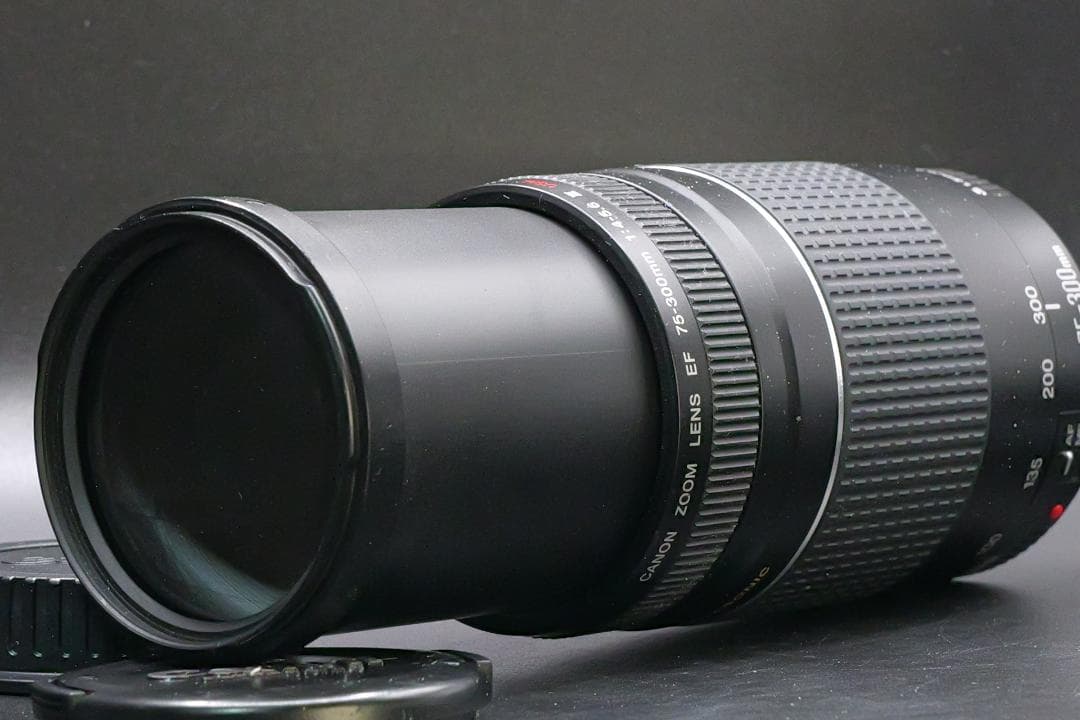 【美品】望遠レンズ Canon EF 75-300mm F4-5.6 Ⅲ　USM