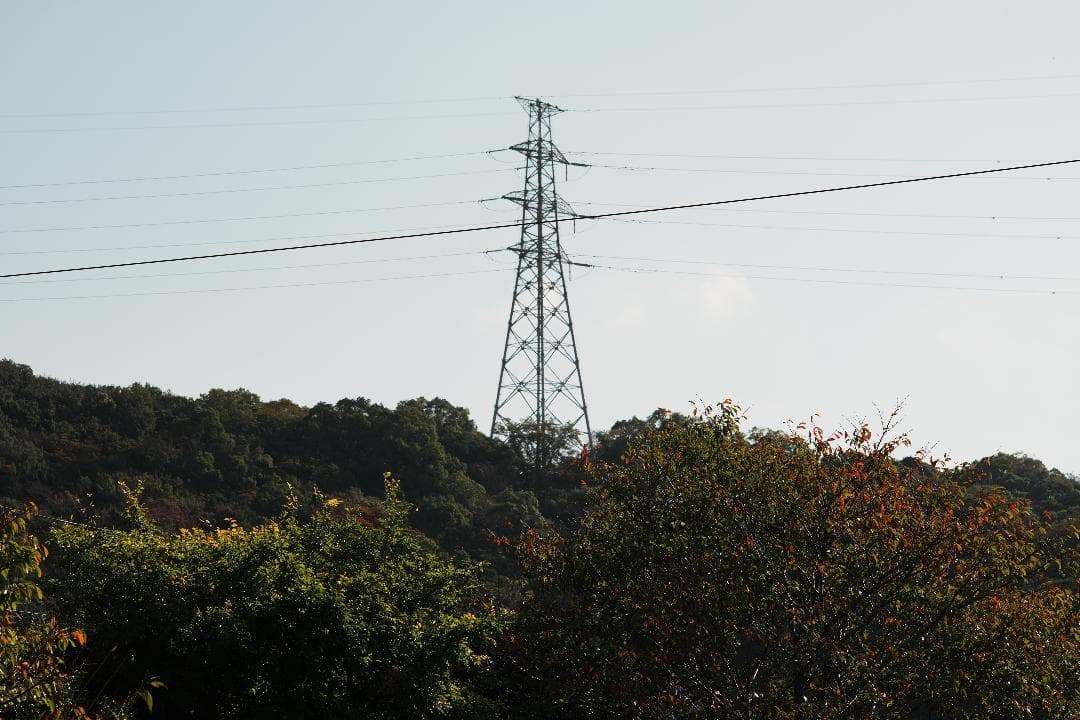 自然な光をそのまま Nikon Ai Nikkor 105mm F2.5