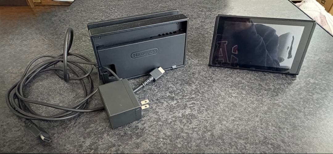 たれぞう　Switch2017年もの