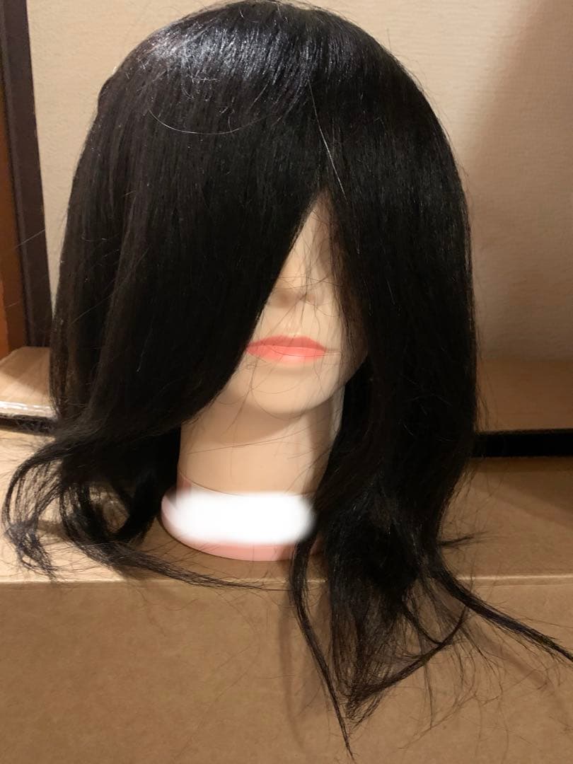 美容師、ウィッグ5個セット、国家試験