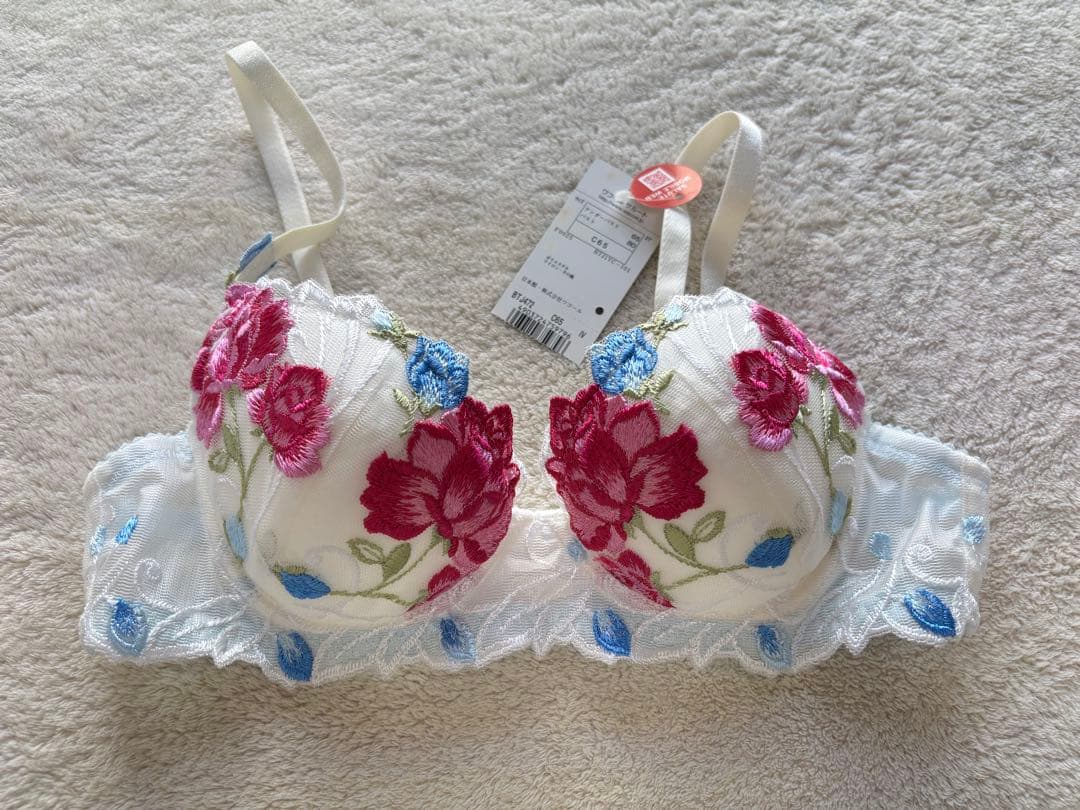 サルート C65 ブラ ガーター ソング スリップ Mサイズ IV